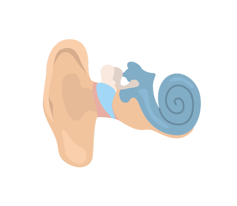 Ear1